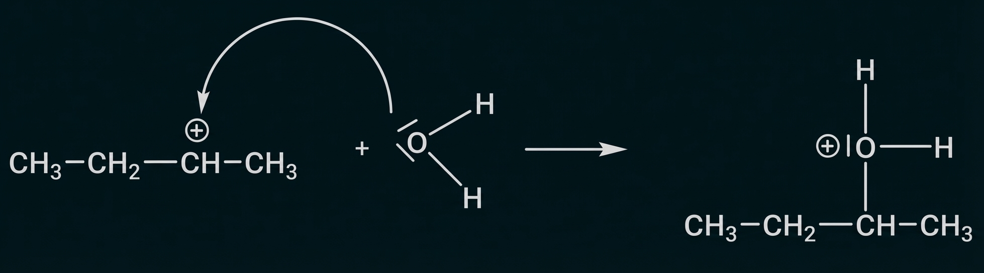 Schematische Darstellung eines sekundären Carbokations, das mit Wasser zu einem protonierten Alkohol reagiert.